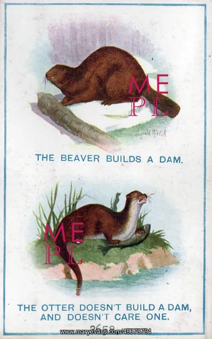 : Comic postcard, The beaver and the otter : Comic postcard, The beaver and the otter