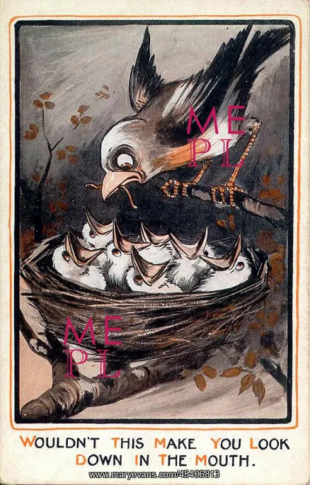 : Comic postcard, Bird brings worm to chicks in nest : Comic postcard, Bird brings worm to chicks in nest
