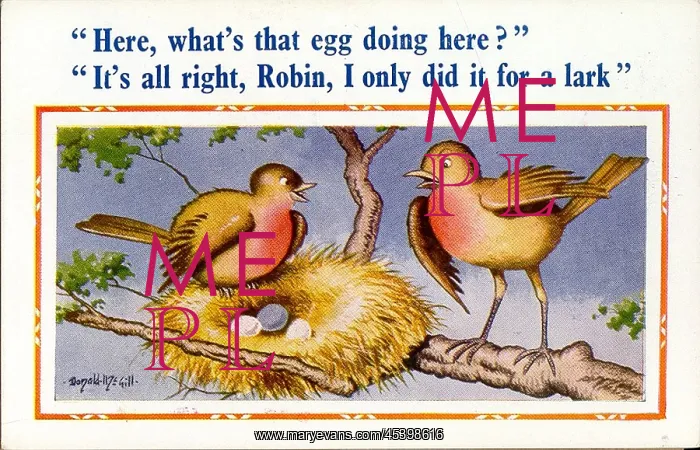 : Comic postcard, Birds with nest of eggs : Comic postcard, Birds with nest of eggs