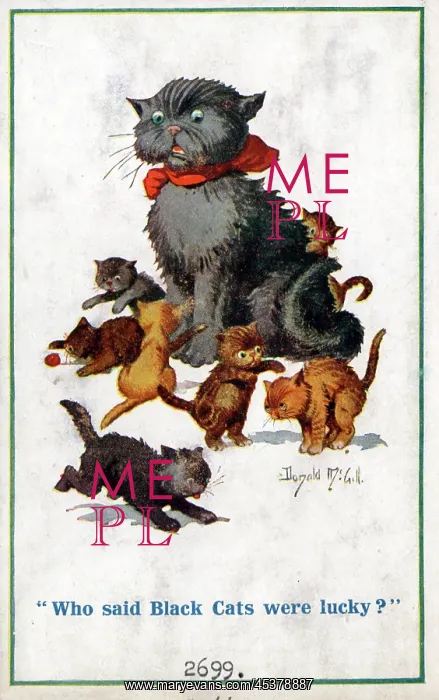 : Comic postcard, Black cat annoyed by kittens : Comic postcard, Black cat annoyed by kittens