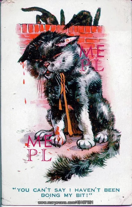 : Comic postcard, Black cat fighter, WW1 : Comic postcard, Black cat fighter, WW1