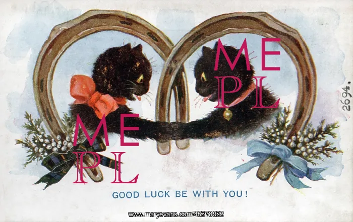  : Comic postcard, Two black cats on Good Luck card