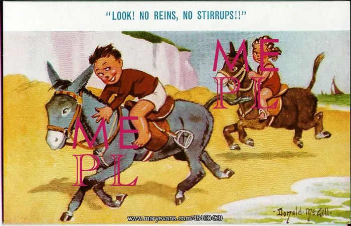 : Comic postcard, Boy and girl riding donkeys on beach : Comic postcard, Boy and girl riding donkeys on beach