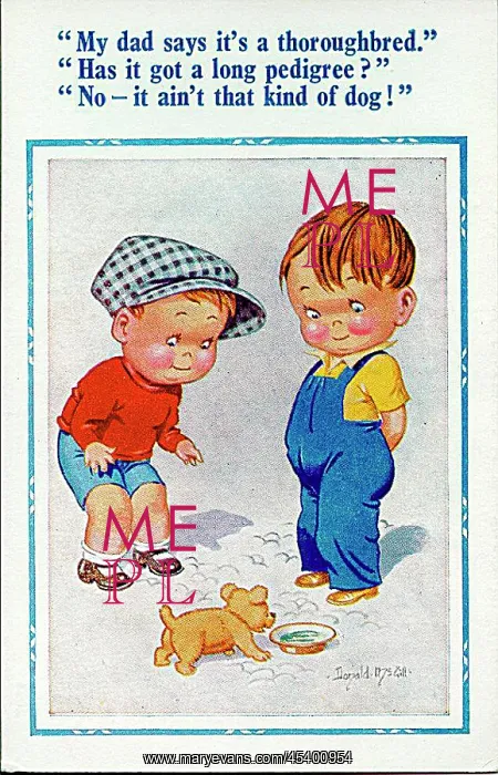 : Comic postcard, Two boys discuss puppy : Comic postcard, Two boys discuss puppy