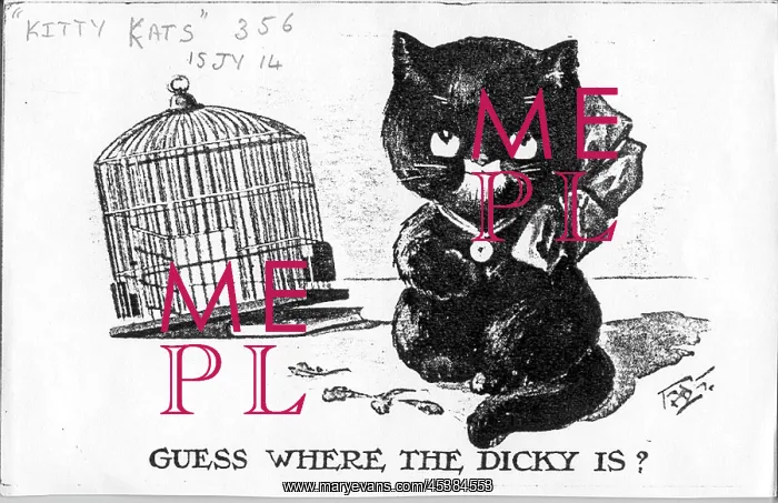  : Comic postcard, Cat and empty birdcage