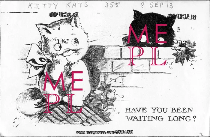 : Comic postcard, Two cats in a garden : Comic postcard, Two cats in a garden