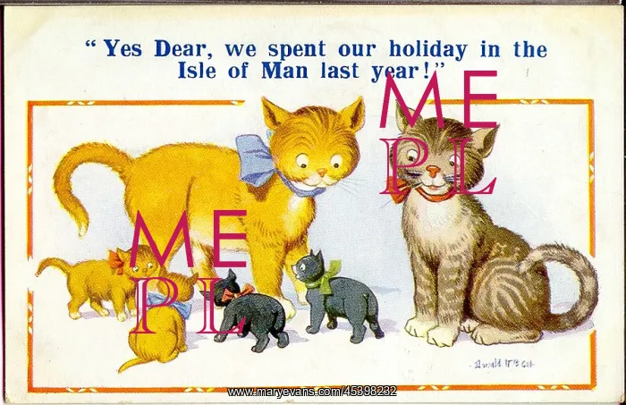 : Comic postcard, Cats and kittens : Comic postcard, Cats and kittens
