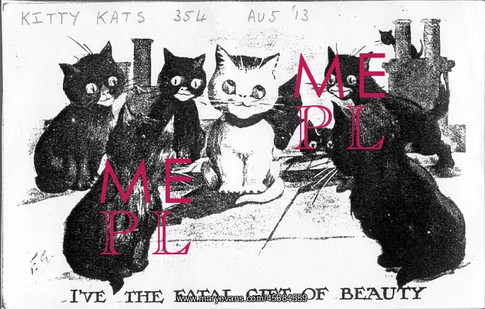 : Comic postcard, Cats on a roof : Comic postcard, Cats on a roof