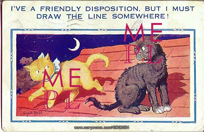: Comic postcard, Two cats on a roof at night : Comic postcard, Two cats on a roof at night