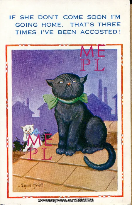 : Comic postcard, Two cats on a roof at night : Comic postcard, Two cats on a roof at night