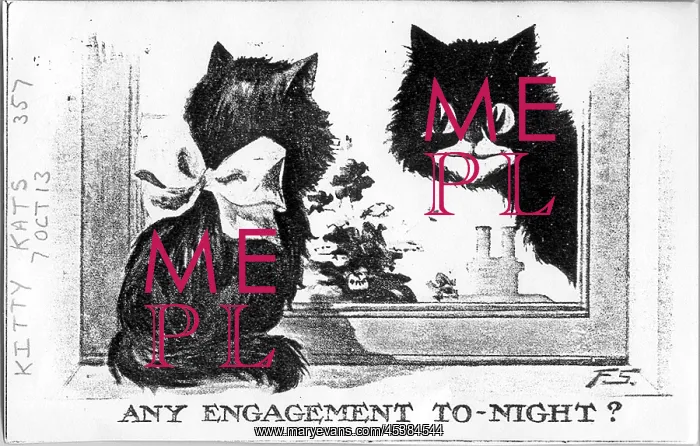 : Comic postcard, Two cats at a window : Comic postcard, Two cats at a window