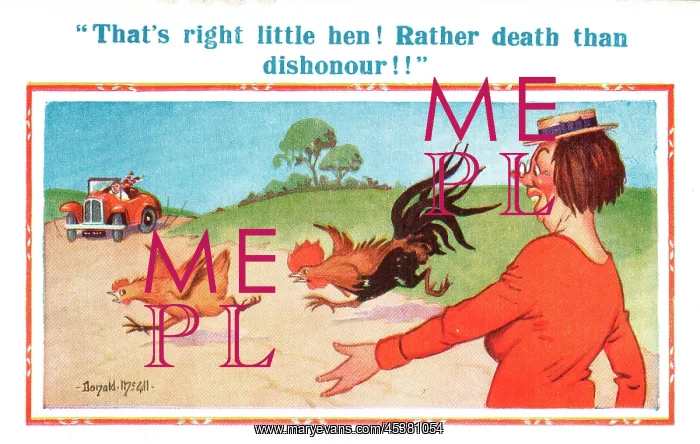 : Comic postcard, cockerel chasing hen across the road : Comic postcard, cockerel chasing hen across the road