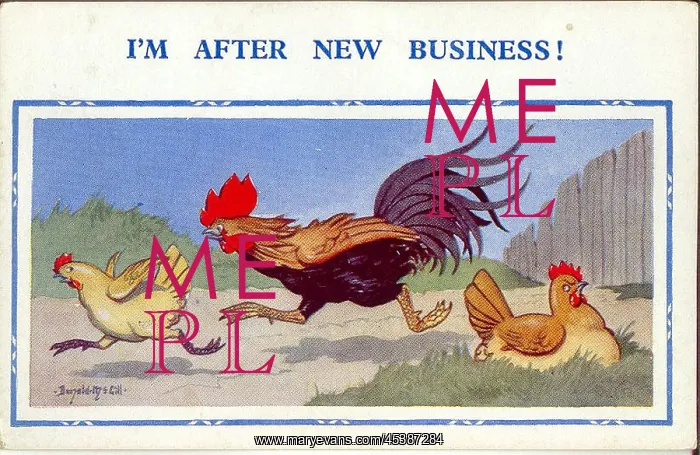 : Comic postcard, Cockerel chasing new hen : Comic postcard, Cockerel chasing new hen