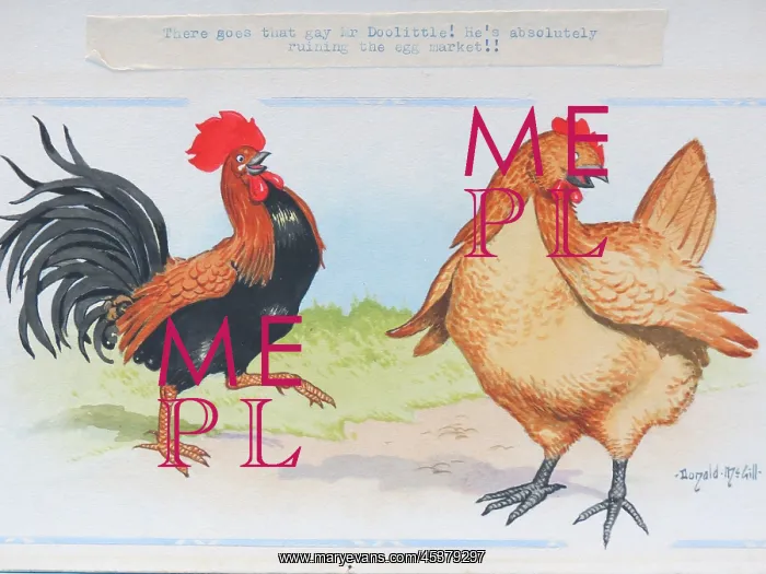 : Comic postcard, Cockerel and hen : Comic postcard, Cockerel and hen