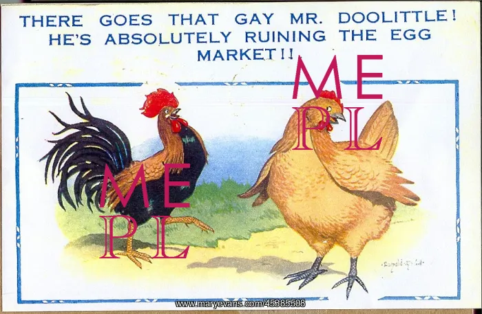  : Comic postcard, Cockerel and hen
