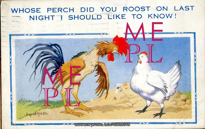  : Comic postcard, Cockerel and hen