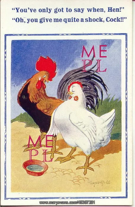 : Comic postcard, cockerel and hen flirtation : Comic postcard, cockerel and hen flirtation