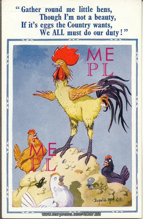 : Comic postcard, Cockerel and hens, WW2 : Comic postcard, Cockerel and hens, WW2