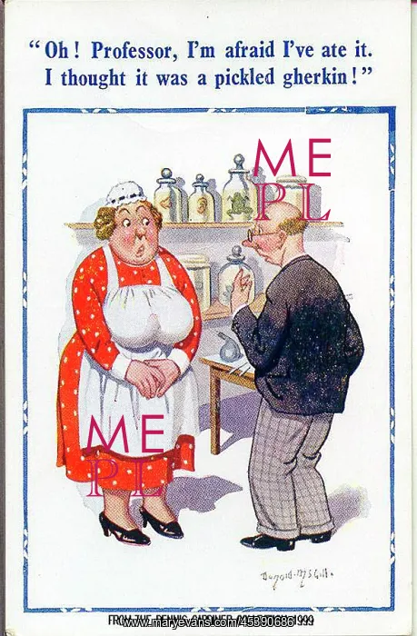 : Comic postcard, Cook apologises to scientist : Comic postcard, Cook apologises to scientist
