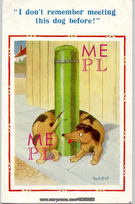 : Comic postcard, Dachshund wrapped round post : Comic postcard, Dachshund wrapped round post
