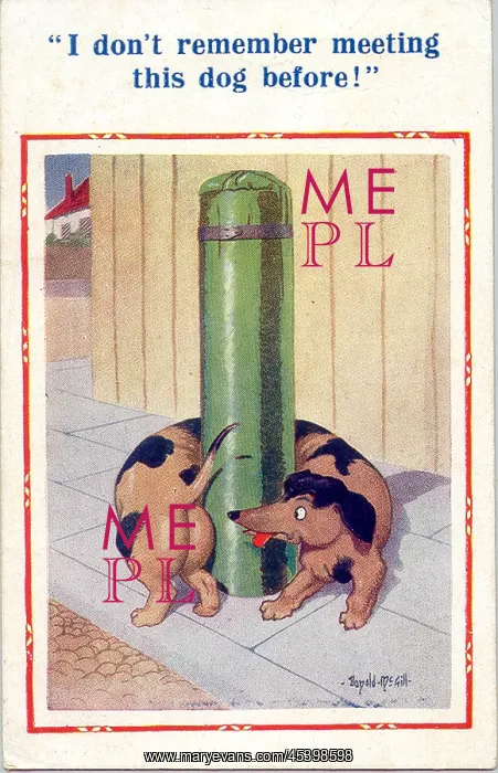 : Comic postcard, Dachshund wrapped round post : Comic postcard, Dachshund wrapped round post