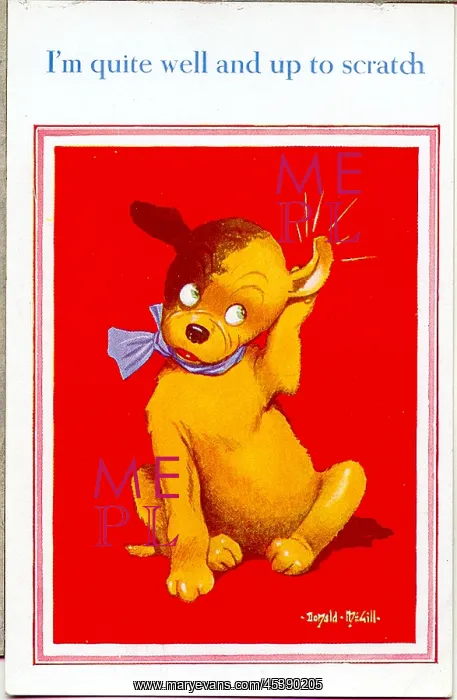  : Comic postcard, Dog feeling up to scratch