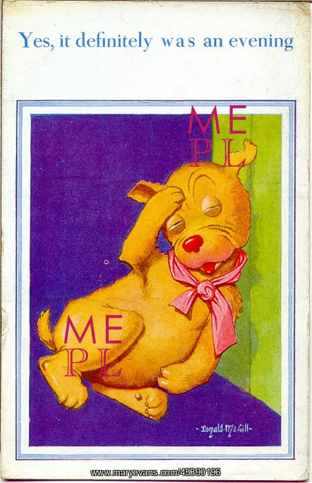 : Comic postcard, Dog with a hangover : Comic postcard, Dog with a hangover