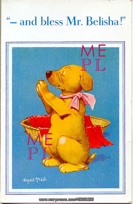 : Comic postcard, Dog saying his prayers : Comic postcard, Dog saying his prayers