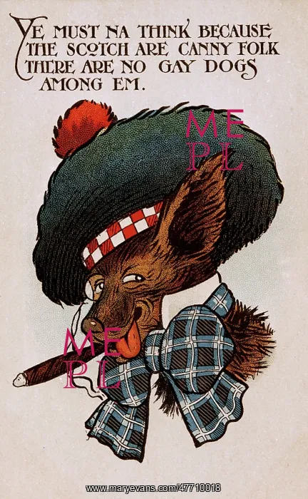  : Comic postcard, dog in Scottish costume