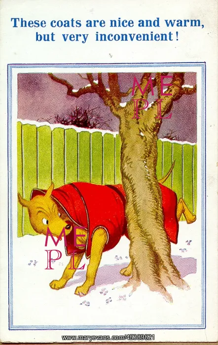 : Comic postcard, Dog wearing coat in winter : Comic postcard, Dog wearing coat in winter