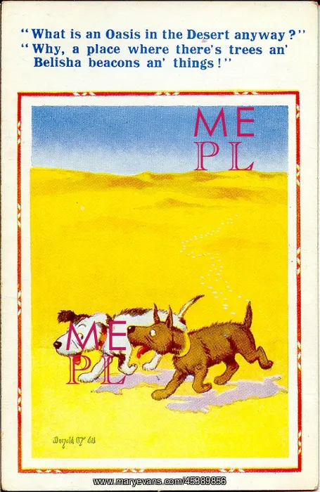 : Comic postcard, Two dogs in the desert : Comic postcard, Two dogs in the desert
