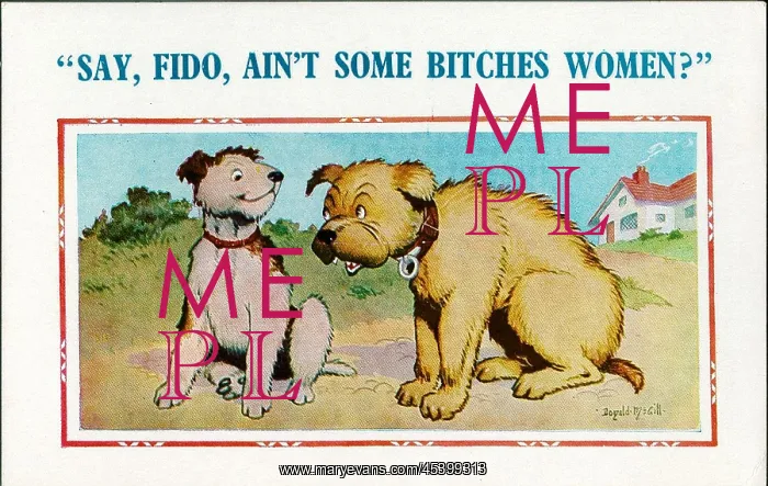 : Comic postcard, Two dogs discuss bitches : Comic postcard, Two dogs discuss bitches
