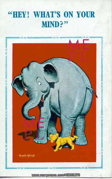  : Comic postcard, Elephant and dog