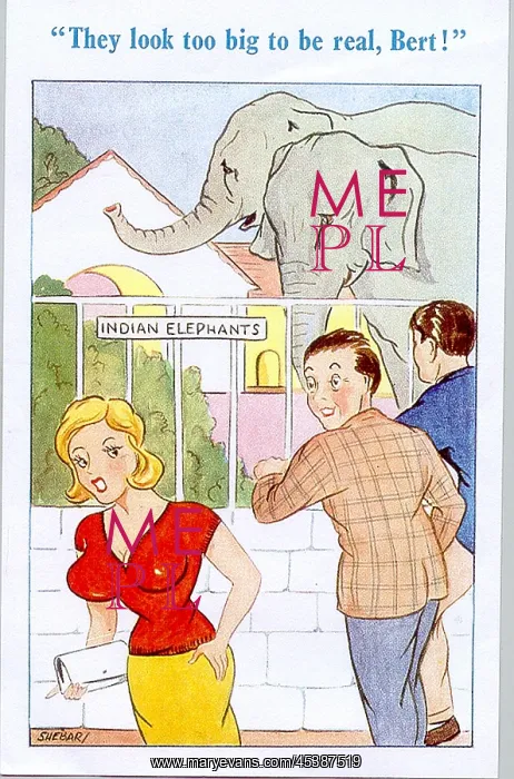: Comic postcard, Elephants at the zoo : Comic postcard, Elephants at the zoo