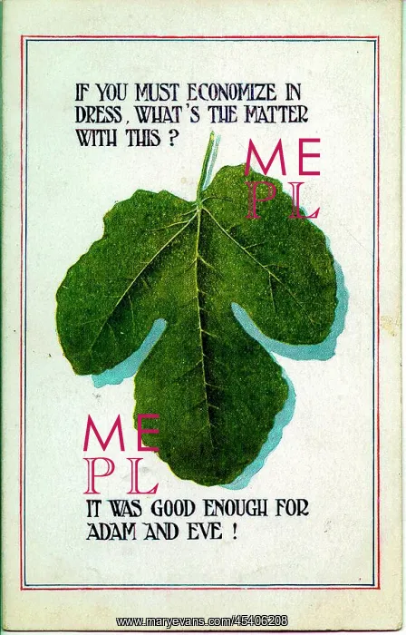 : Comic postcard, Fig leaf, WW1 : Comic postcard, Fig leaf, WW1