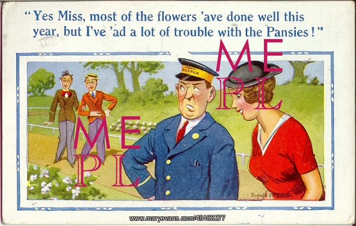 : Comic postcard, Flowers in the park : Comic postcard, Flowers in the park