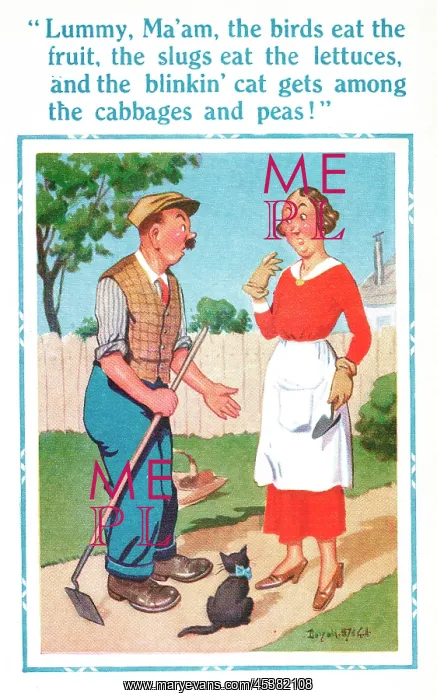 : Comic postcard, gardener complaining : Comic postcard, gardener complaining