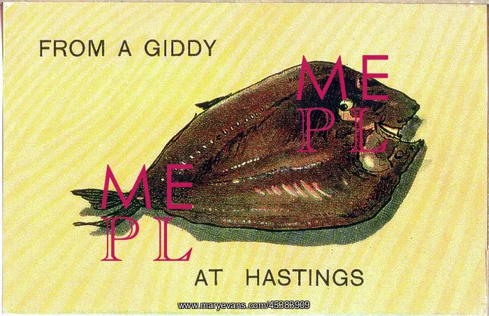 : Comic postcard, From a giddy fish at Hastings : Comic postcard, From a giddy fish at Hastings