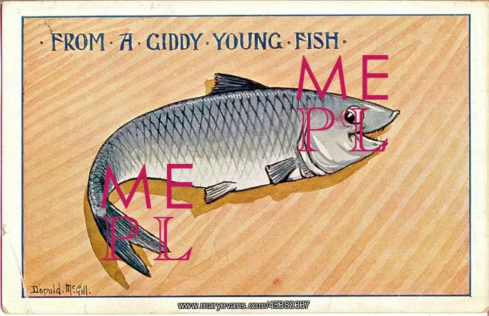 : Comic postcard, From a giddy young fish : Comic postcard, From a giddy young fish
