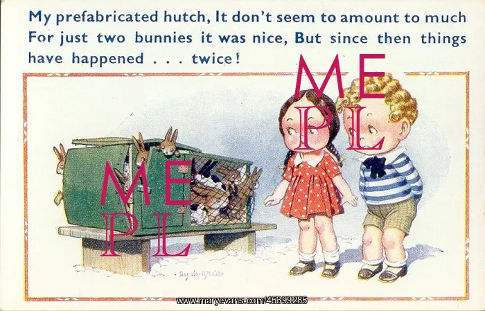 : Comic postcard, Girl and boy with rabbit hutch : Comic postcard, Girl and boy with rabbit hutch