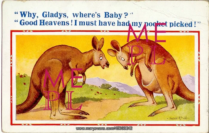 : Comic postcard, Kangaroo couple with missing baby : Comic postcard, Kangaroo couple with missing baby