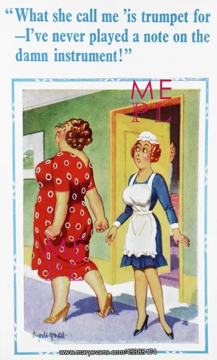  : Comic postcard, Maid and mistress