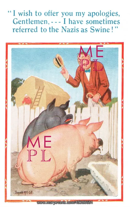  : Comic postcard, man apologises to pigs, WW2