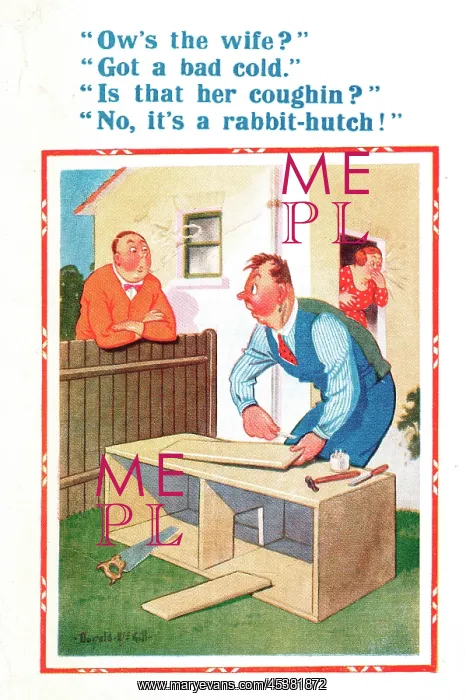 : Comic postcard, man making rabbit hutch : Comic postcard, man making rabbit hutch