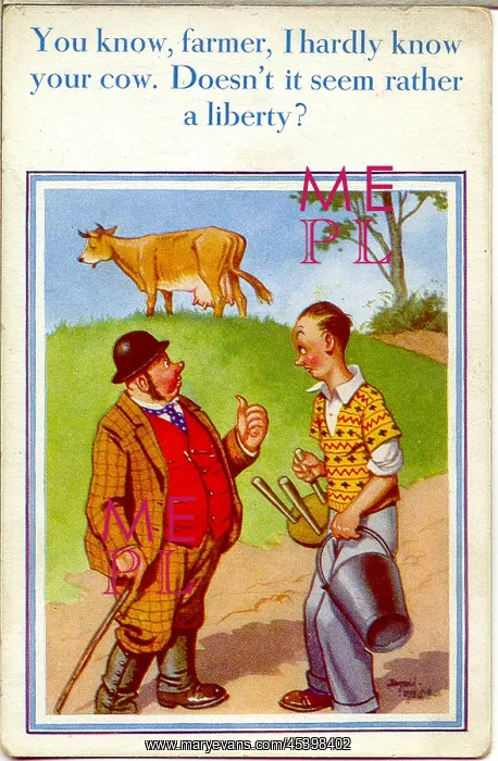 : Comic postcard, Man reluctant to milk a cow : Comic postcard, Man reluctant to milk a cow
