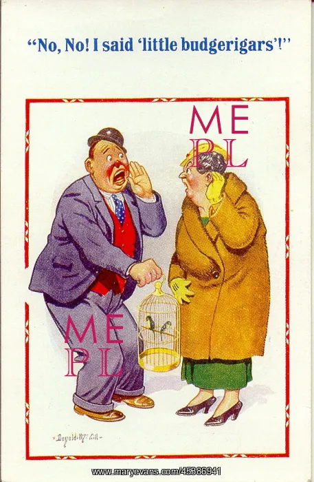 : Comic postcard, Man and woman with caged birds : Comic postcard, Man and woman with caged birds