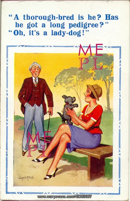 : Comic postcard, Man, woman and dog in a park : Comic postcard, Man, woman and dog in a park