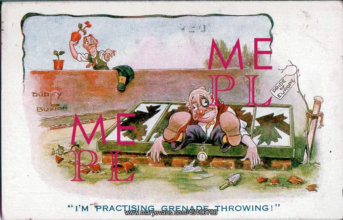 : Comic postcard, Men in their gardens, WW1 : Comic postcard, Men in their gardens, WW1