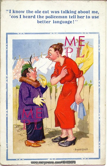 : Comic postcard, Neighbours chatting in garden : Comic postcard, Neighbours chatting in garden