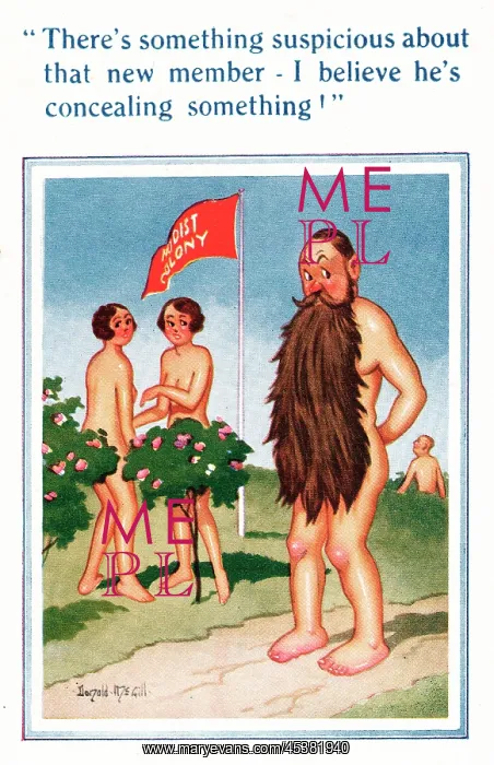 : Comic postcard, Nudist Colony - concealing something : Comic postcard, Nudist Colony - concealing something